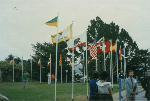 06.jpg