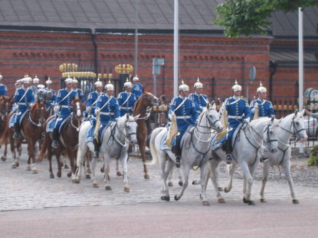 100-0077_IMG.JPG