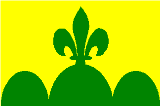 Bandera de l'ens