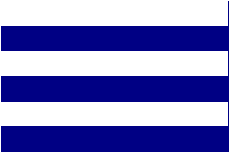 Bandera de l'ens