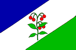 Bandera de l'ens