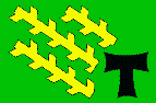 Bandera de l'ens