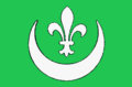 Bandera de l'ens