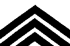 Bandera de l'ens