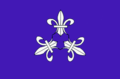 Bandera de l'ens