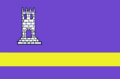 Bandera de l'ens