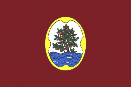 Barenysdemar Barenysdemar