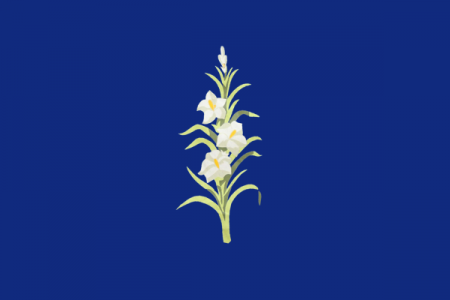 Bgracia2